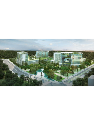 About CPG Vietnam - CPG